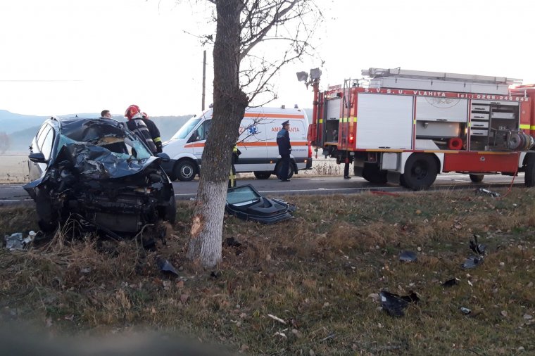 Lovat gázolt halálra egy autó Szentegyháza határában, újra kellett éleszteni a sofőrt