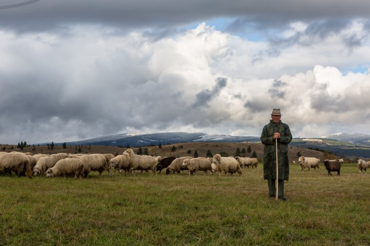 Gazdag a bárányhúskínálat, de kevés a vásárló