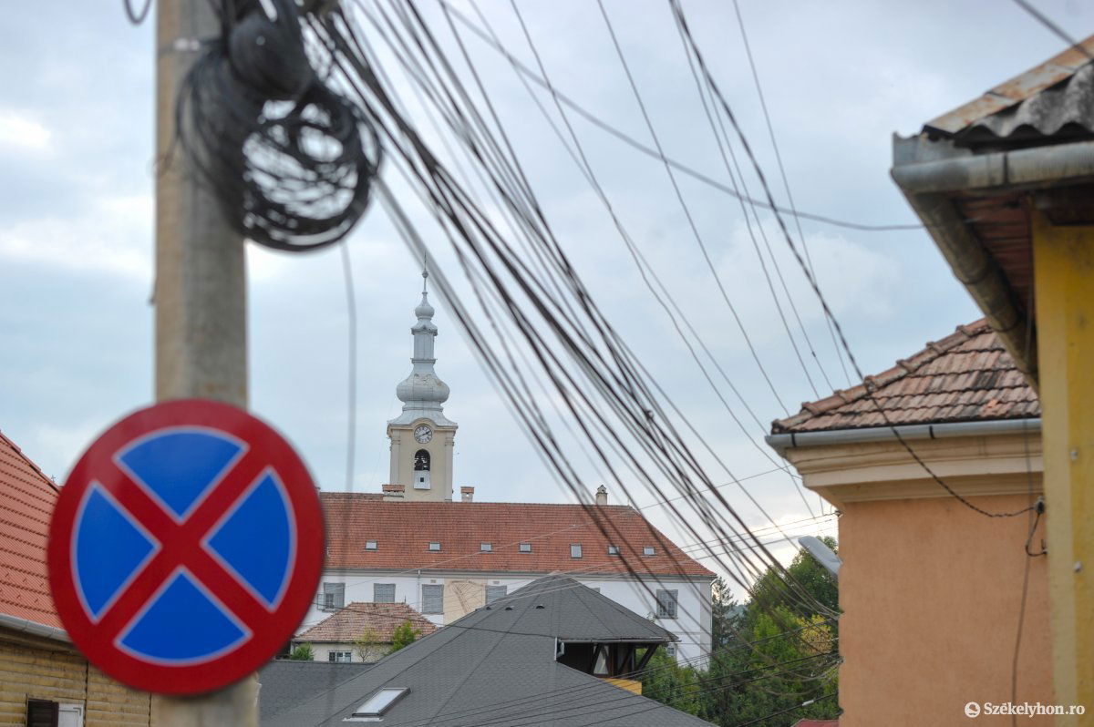 A Szentimre utcában is feltűntek a vadállatok. Képünk illusztráció •  Fotó: Beliczay László