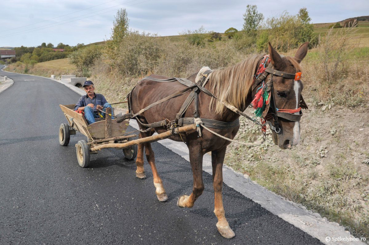Több felújítás van folyamatban a megyei utakon. Kedvező változások. Képünk illusztráció •  Fotó: Beliczay László