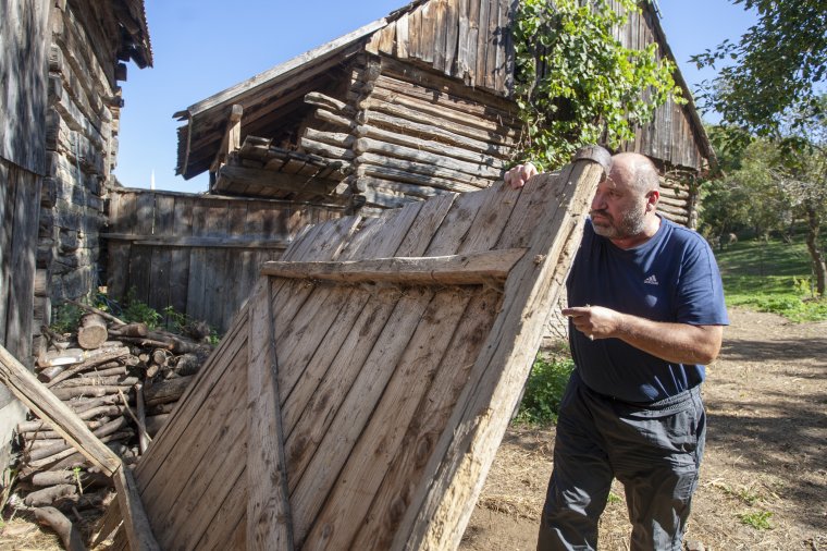 Letörte a csűr ajtaját is a medve a juhokért