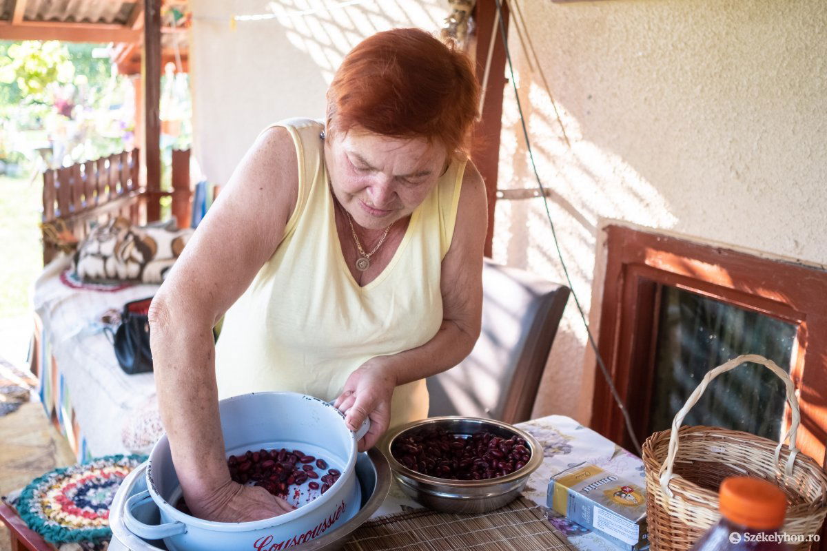 Hagyományos módon hosszas és fizikai erőnlétet kíván a sompép kinyerése •  Fotó: Veres Nándor