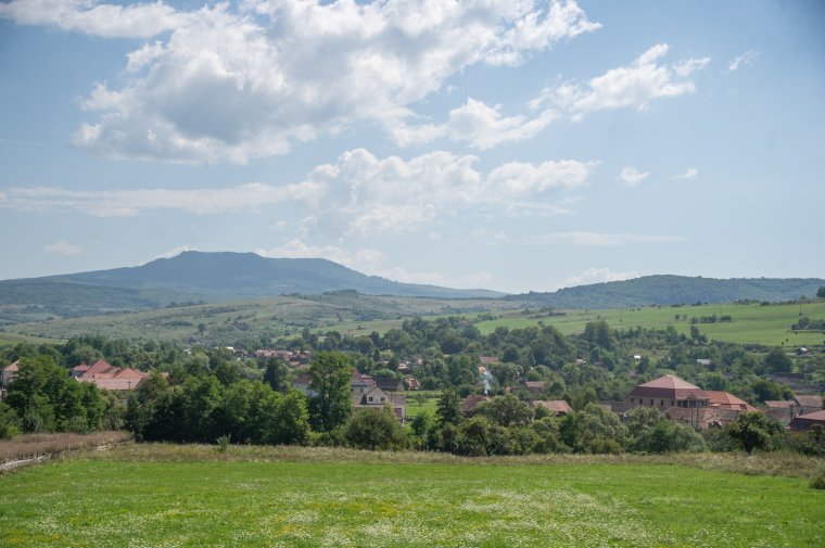 Ahol minden utcára más medve jut