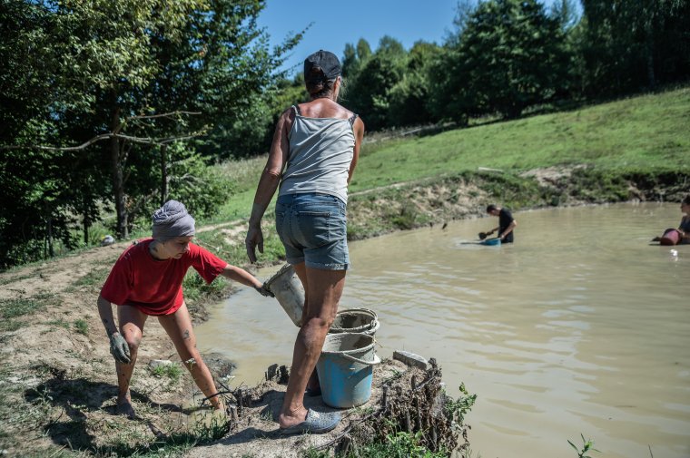 Szénáztak, vakoltak, tapasztottak és tapasztaltak a német fiatalok