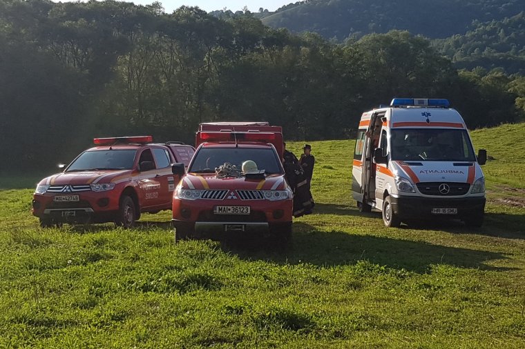 Gombászni indult, de már nem tért haza – holtan találtak az idős férfira az erdőben