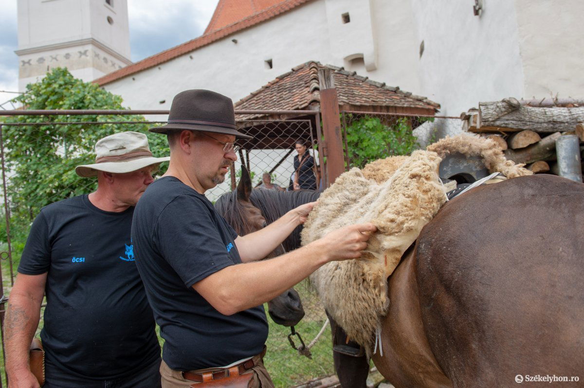•  Fotó: Beliczay László