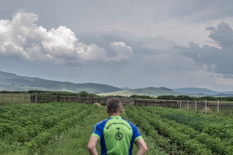 A károk dacára a tavalyinál jobb év az idei a Hargita megyei mezőgazdaságban