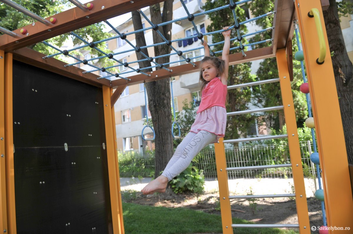 Legyen színes, izgalmas, tele kihívással •  Fotó: Beliczay László