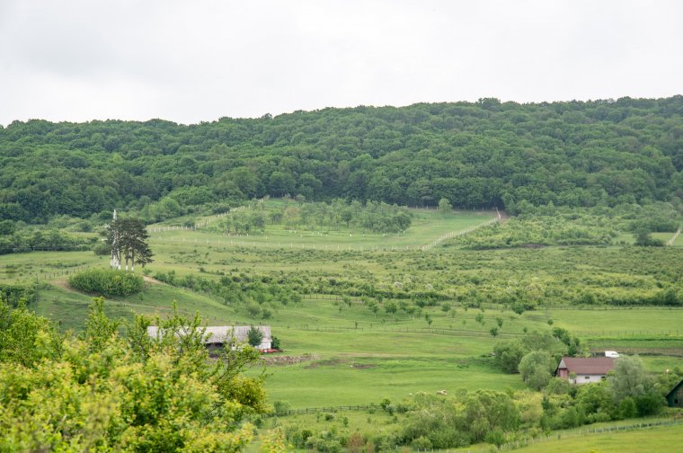 Továbbállt az agyagdombi medvecsalád