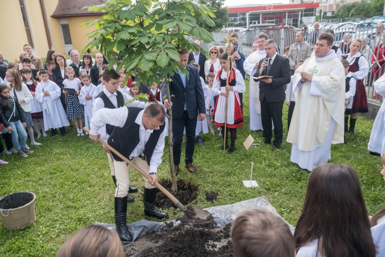 Elültették a pápalátogatás emlékfáit Székelyudvarhelyen