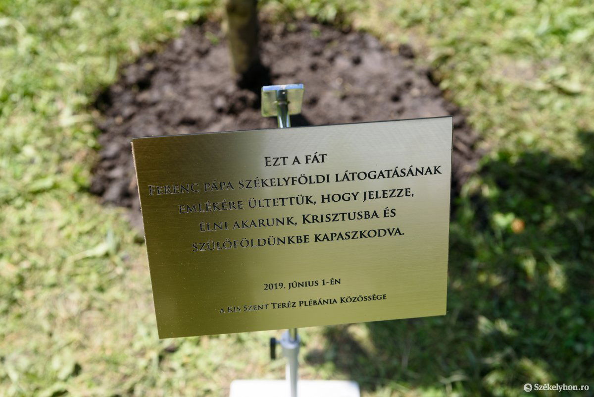 •  Fotó: Veres Nándor
