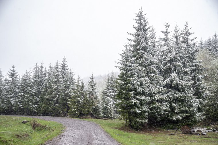 Élvezze ki a kellemes időt: szombattól esni, fújni, havazni fog