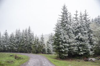 Áprilisi tél: hóréteg alakult ki a magasabban fekvő régiókban