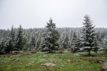 Nem szabadulunk a hidegtől és az esőtől, a hegyekben havazhat is