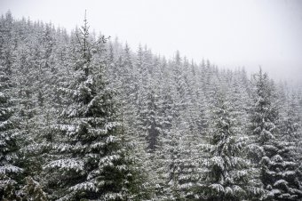 Újabb csapadékos időszak következik, a hegyekben havazhat is