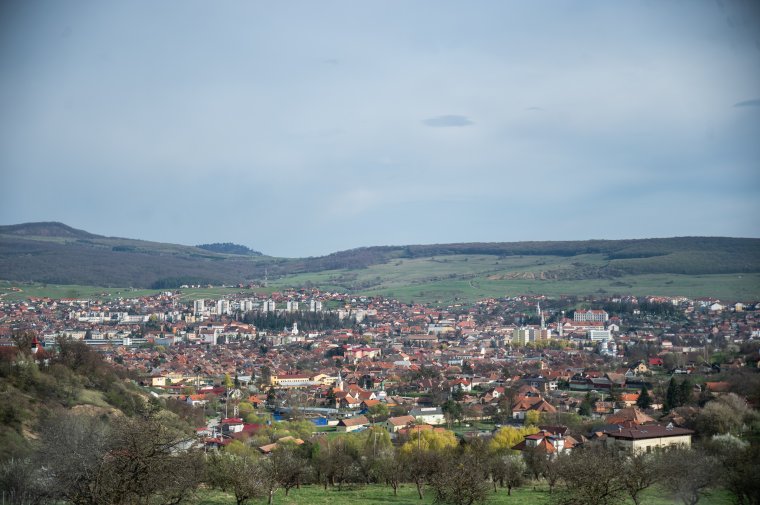 Település Rt., avagy a néphatalom igazgatótanácsot választ