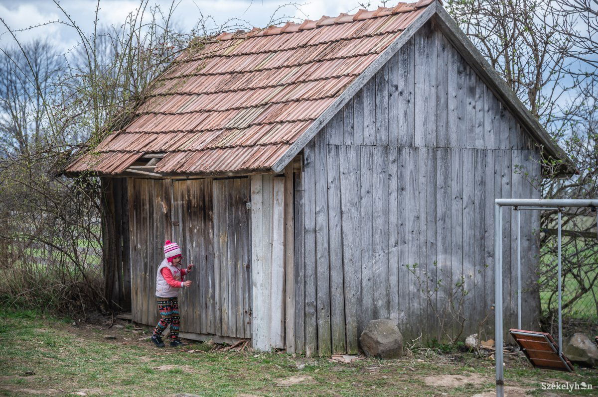 Képünk illusztráció •  Fotó: Barabás Ákos