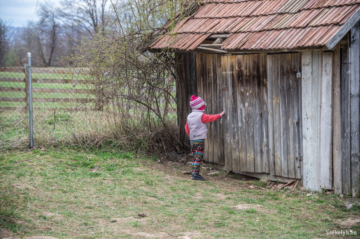 Képünk illusztráció •  Fotó: Barabás Ákos