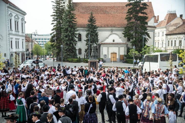 Ünnepelt a Kékiringó
