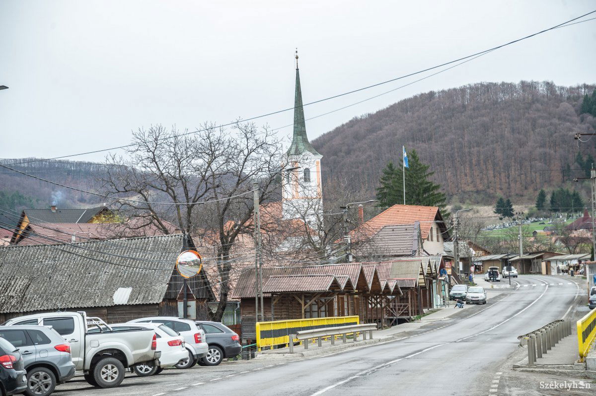 Többször is bejárt Korondra a szerdán kilőtt medve. Archív •  Fotó: Barabás Ákos