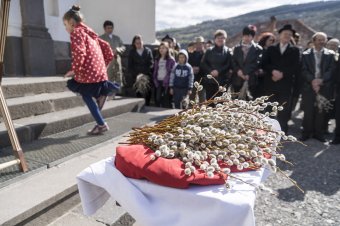 „Hol az a virág van, ott van az Isten”