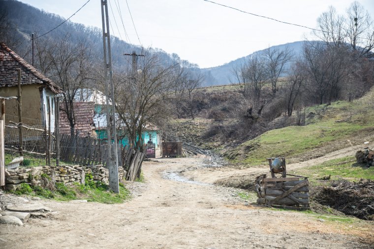 Ha „lecsillapodik” a kőrispataki medve, nem lesz indokolt a kilövése