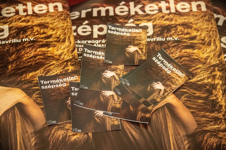 Fizikai színház: újfajta nyelv a székelyudvarhelyi Tomcsa Sándor teátrumban