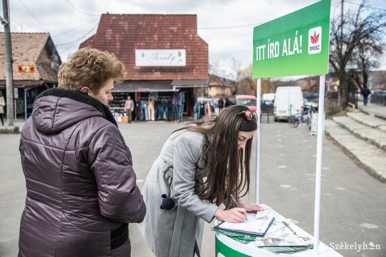 A pártaktivisták a polgármesterek kegyeltjei (Képünk illusztráció) •  Fotó: Barabás Ákos