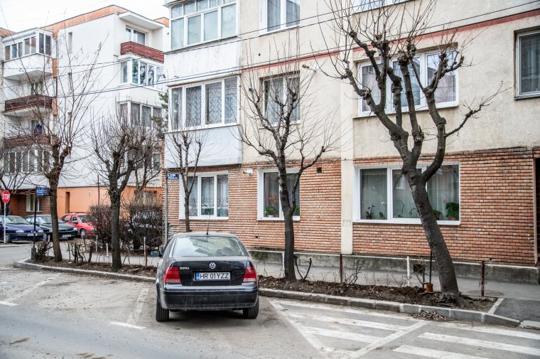 Fametszések – mikor kell a hivataltól engedély?