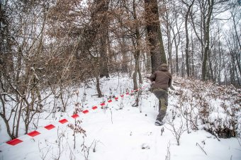 Bocsos anyamedvére bukkantak Abásfalva határában