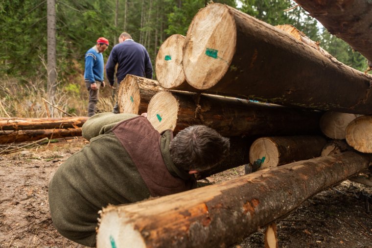 Elméletileg olcsóbban lehet majd tűzifához jutni, de ez nem biztos, hogy tényleg látszani is fog