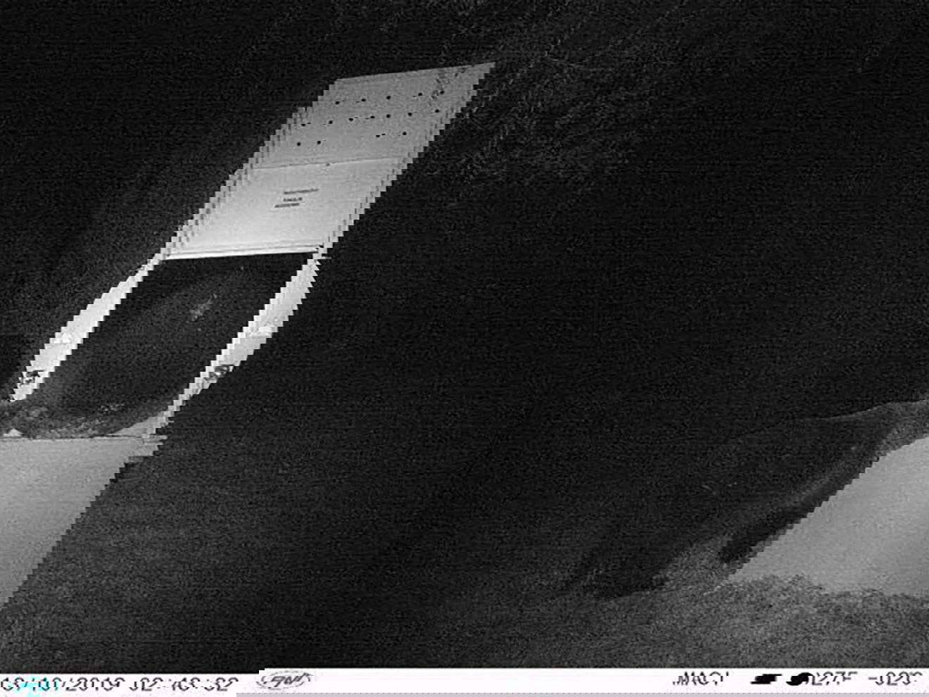 •  Fotó: Nagy-Küküllő Vadász- és Sporthorgász Egyesület