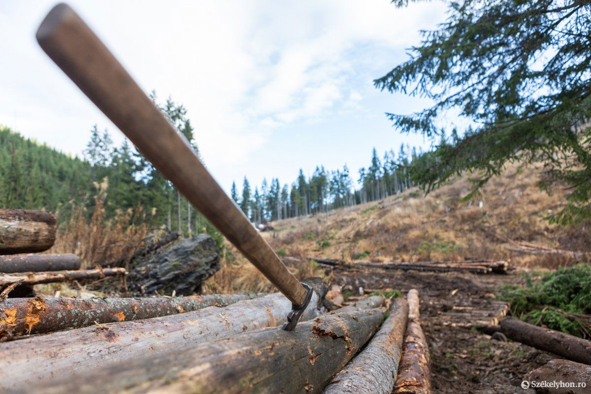 &bullet;  Fotó: Erdély Bálint Előd