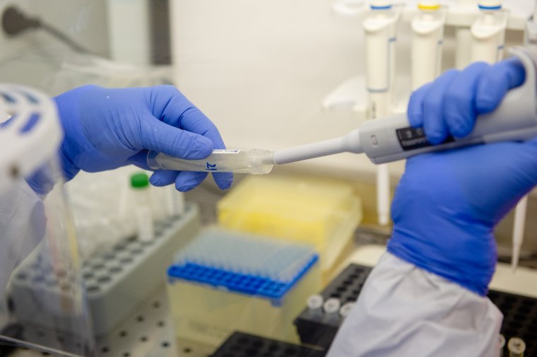 Változatlan ütemben terjed a vírus, már több mint hatmillió PCR tesztet végeztek el a járvány kezdete óta