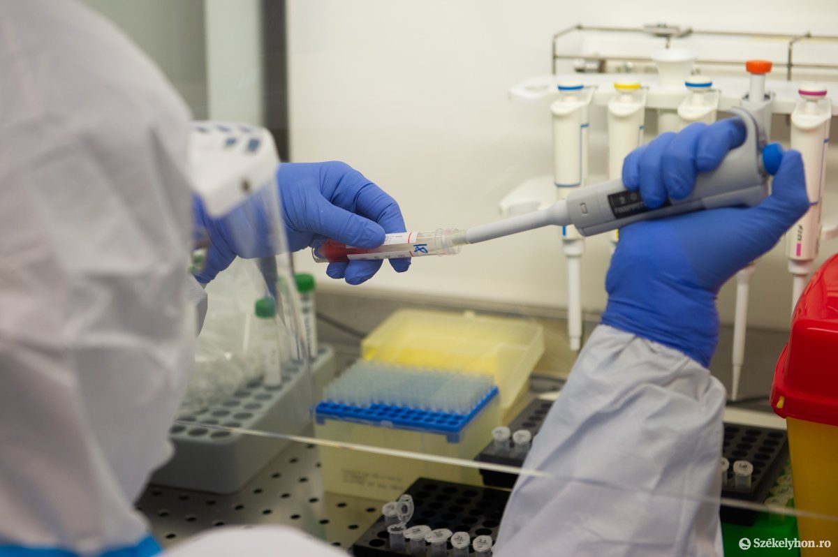 Az emberek többsége nem igényli a prevenciós laborvizsgálatokat •  Fotó: Beliczay László