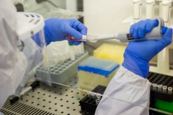 Ingyenes szűrővizsgálat B és C típusú hepatitisz vírusfertőzés kiszűrésére