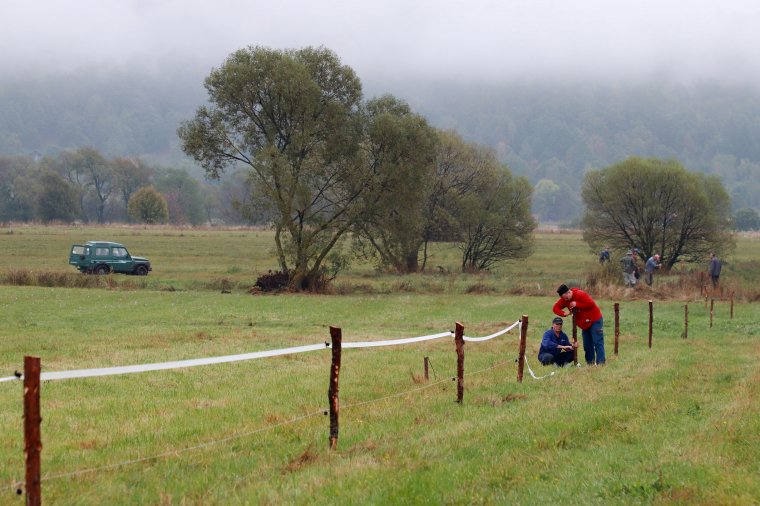 Villanypásztorral csökkentik a balesetveszélyt Szentegyháza határában, amit máris megrongáltak