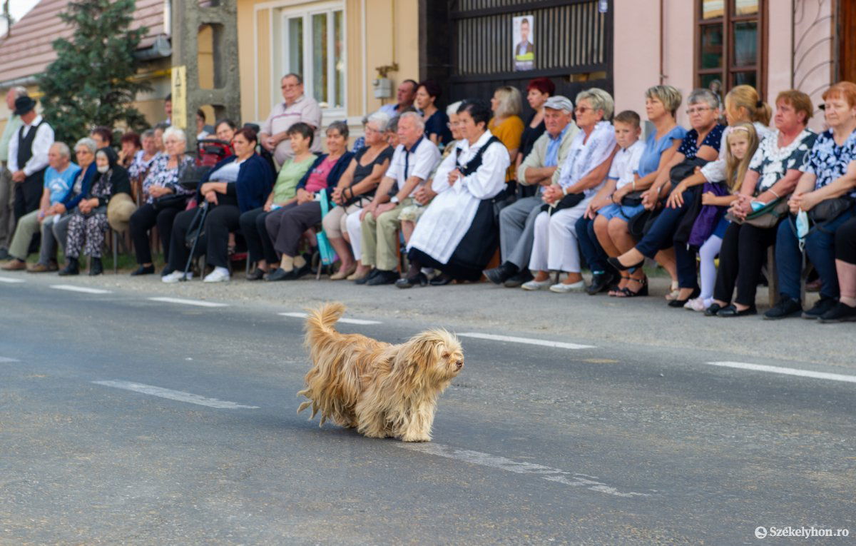 &bullet;  Fotó: Beliczay László