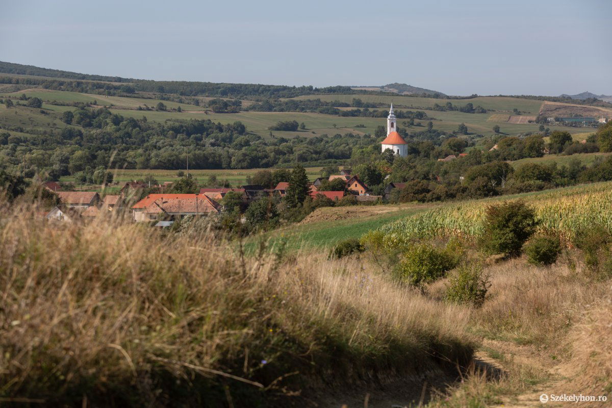 A problémák csökkentek, de nem ártalmatlaníthatták a tyúkokat és nyulakat tizedelő medvét •  Fotó: Erdély Bálint Előd