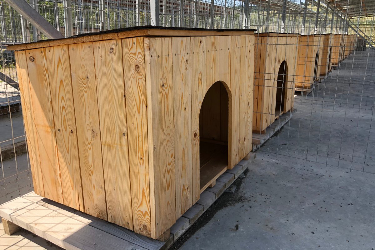 Kisebb és nagyobb kennelek is helyet kaptak a telepen &bullet;  Fotó: Lőrincz Csaba