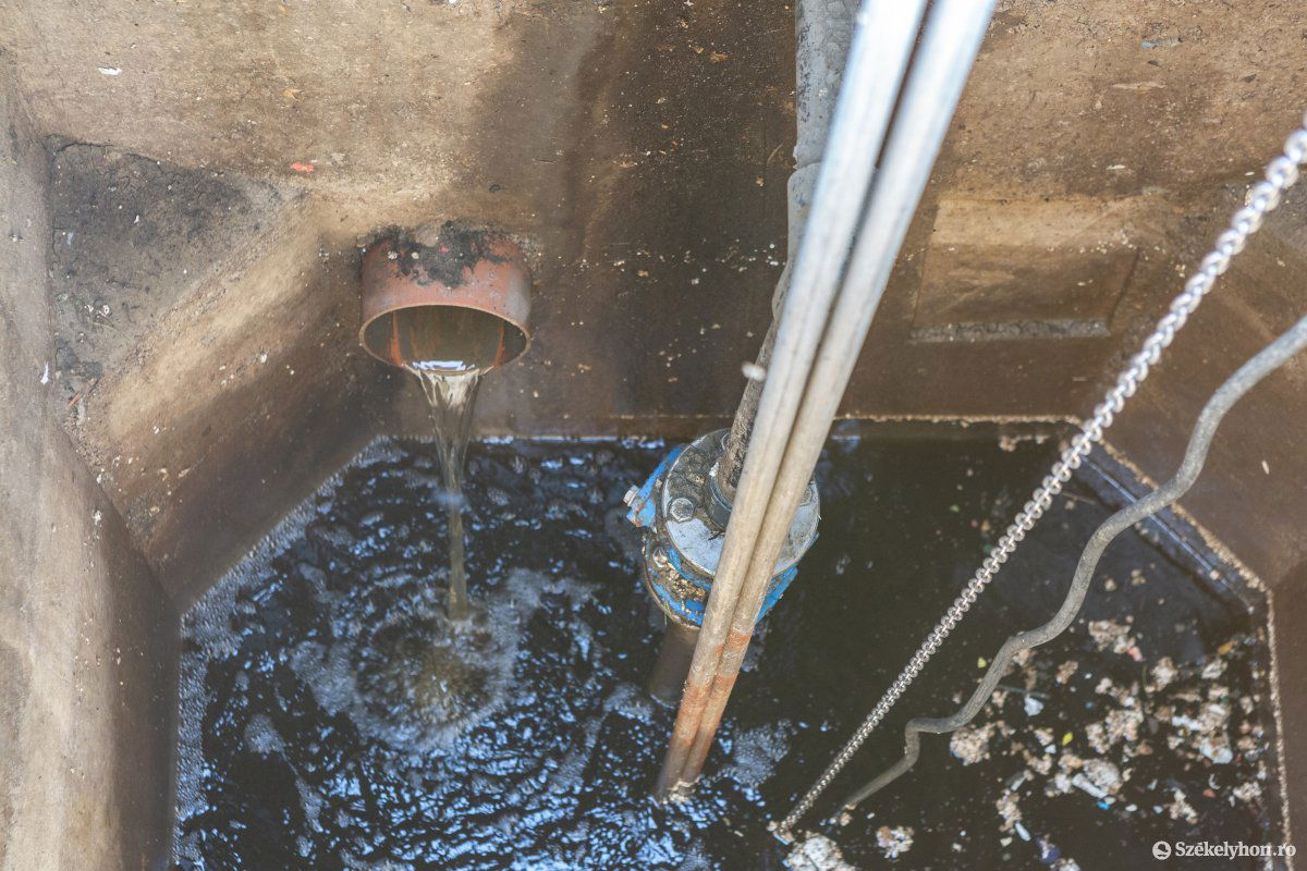 &bullet;  Fotó: Erdély Bálint Előd