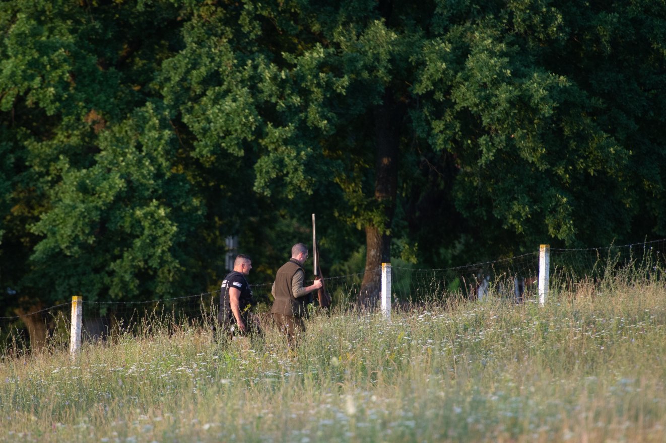 Akiket a Bagossy-koncertről hazafelé tartva leptek meg a nagyvadak