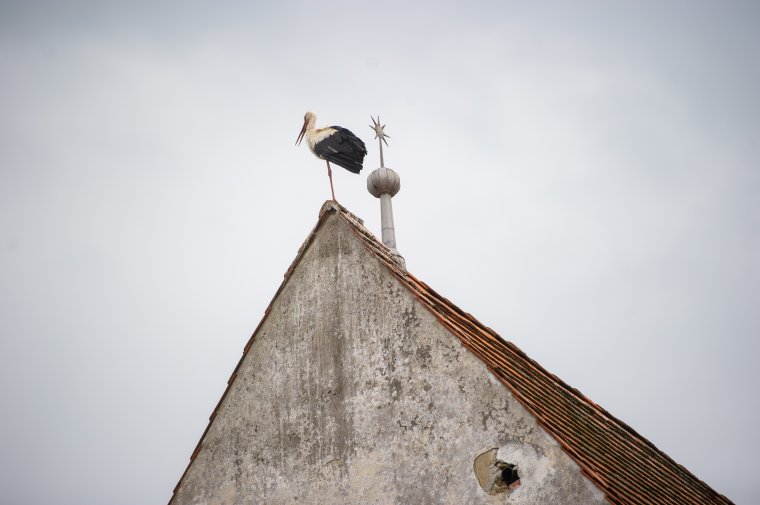 A nemzet egységéért fohászkodnak a református imanapon