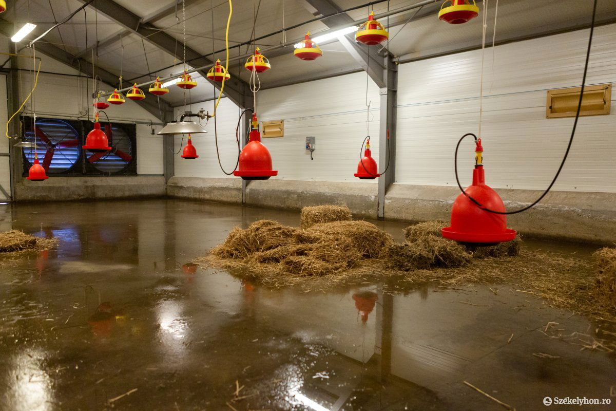 &bullet;  Fotó: Erdély Bálint Előd