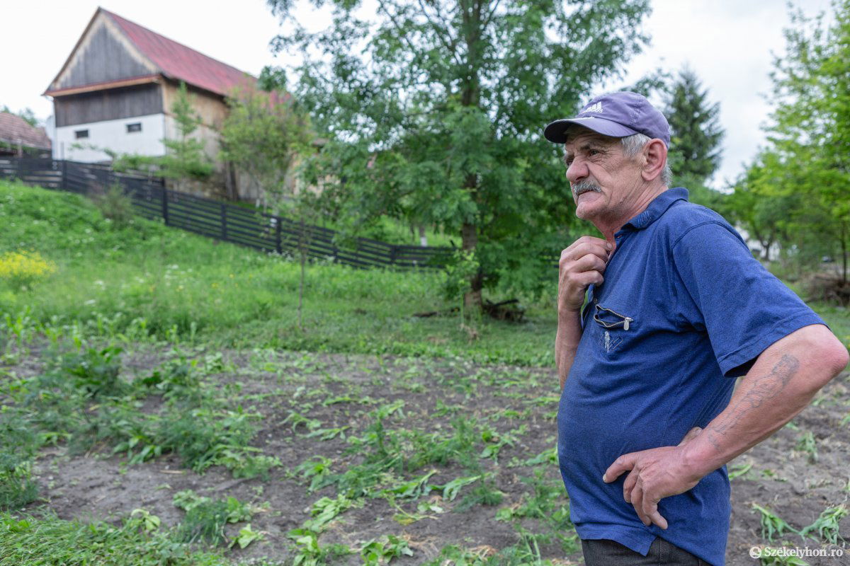•  Fotó: Erdély Bálint Előd