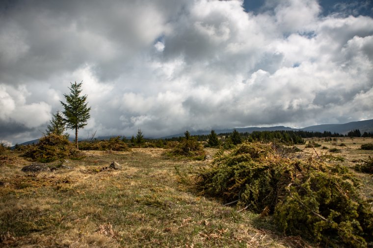 Másodfokú riasztás: felerősödik a szél a hegyekben, havaseső is várható