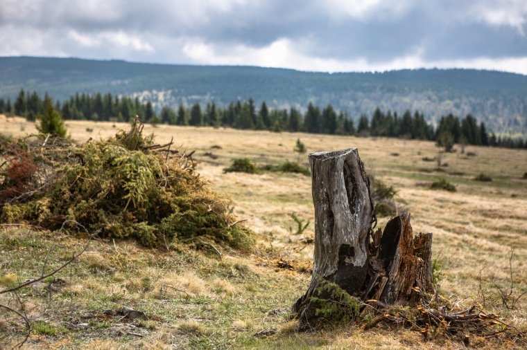 Hargita megyei talaj: a minőség jó, a besorolás rossz