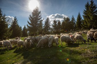 Meghosszabbítják a támogatásigénylési időszakot, megvan az új dátum