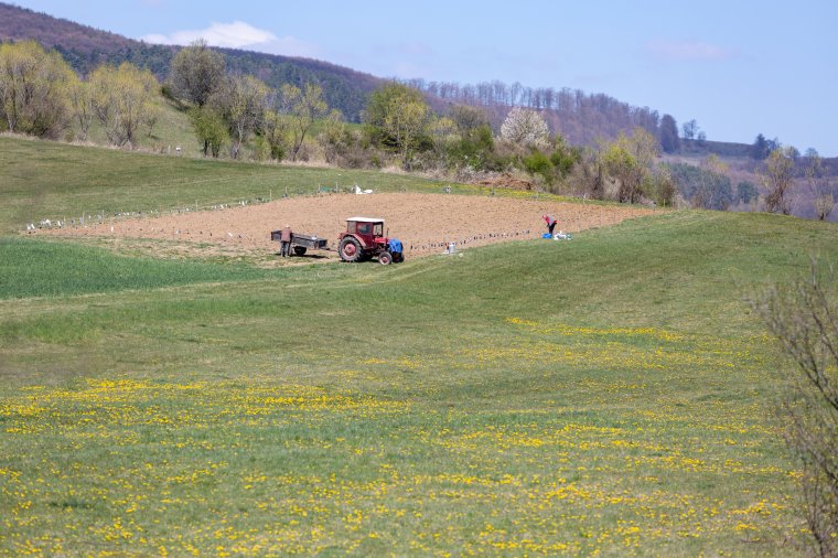 Termésbecslés: az átlagos már jó lesz