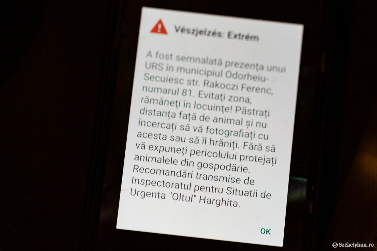 A RO-Alerten keresztül figyelmeztették a székelyudvarhelyieket a medve jelenlétére •  Fotó: Erdély Bálint Előd